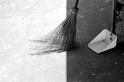 High angle view of palm leaf