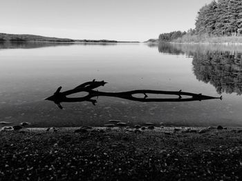 Reflection of trees in calm lake