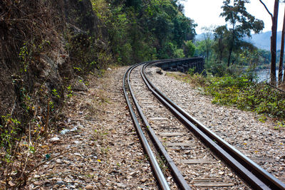 Railroad tracks amidst trees in forest