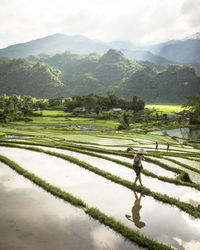 Farmers working on terraced field against mountains