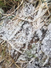 High angle view of snow on field