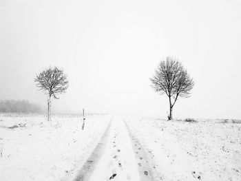 Bare tree on snow covered field against sky