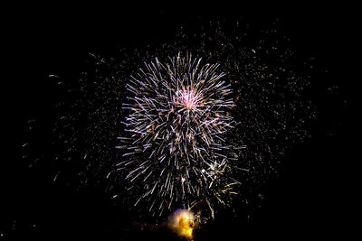 Low angle view of firework display at night