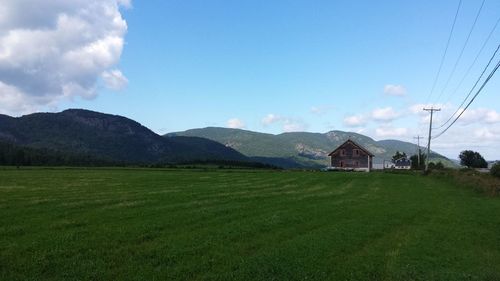 Scenic view of field against sky