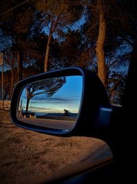 Reflection of trees on side-view mirror