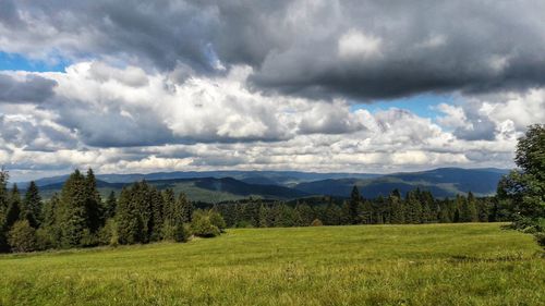 Scenic view of field against sky