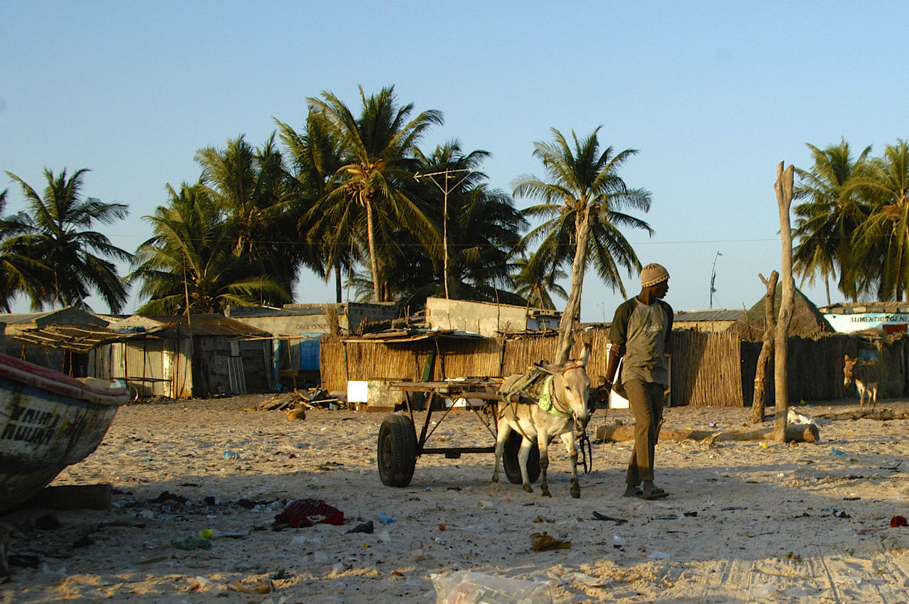 MAN WORKING IN FARM