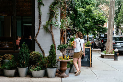 Potted plants on footpath