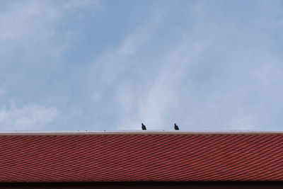 Low angle view of birds on roof against sky