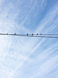 Low angle view of birds perching on cable against sky