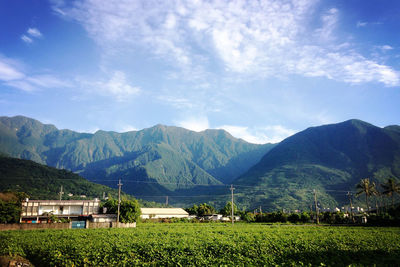 Scenic view of green landscape