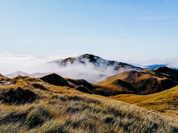 Mount pulag