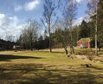 Bare trees on grassy field against cloudy sky