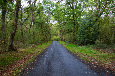 Road amidst trees in forest