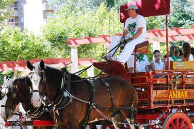 People riding horse cart