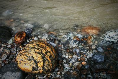 Pebbles on rocks