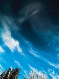 Low angle view of trees against cloudy sky