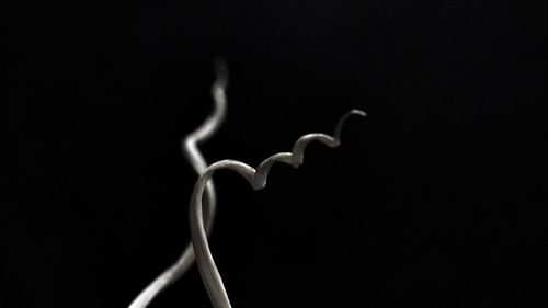 Close-up of metal