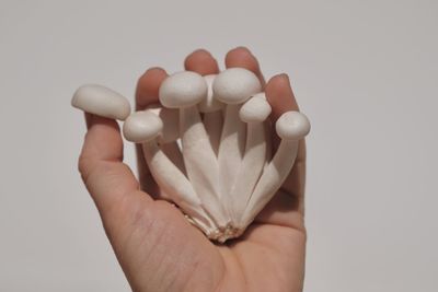 Close-up of hand holding mushroom against white background