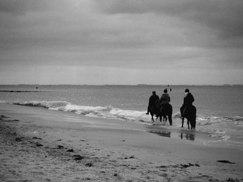 Rear view of people on horses at the beach