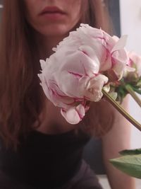 Close-up of pink rose