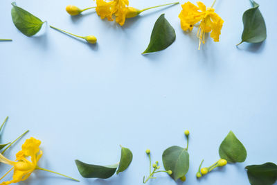 Close-up of yellow flowers