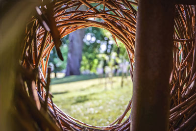 Close-up of metal structure in park