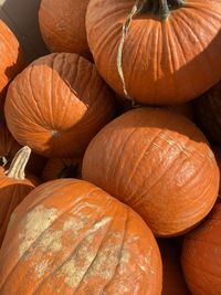 Full frame shot of orange pumpkins