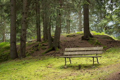 Empty bench on field against trees