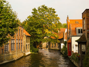 Canal amidst trees and buildings against sky bruges 