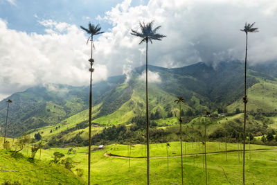 Scenic view of field and mountains against sky