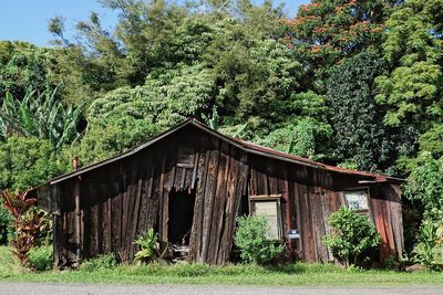 Old wooden house on field by trees in forest