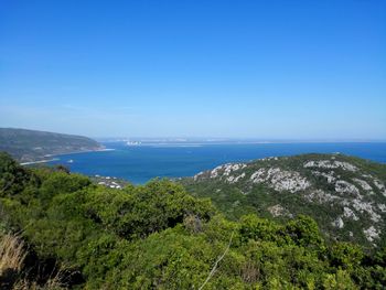 Scenic view of beach against clear blue sky