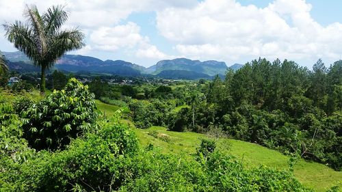 Scenic view of green landscape against sky