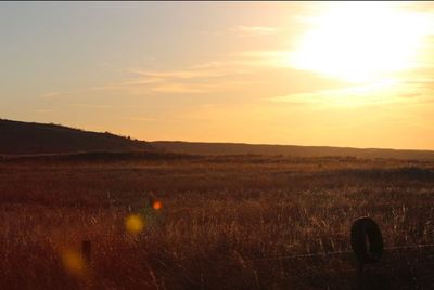 Scenic view of field against sky during sunset