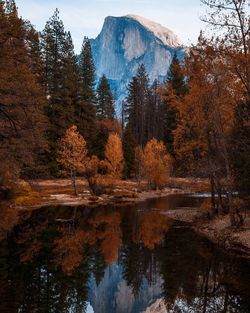 Scenic view of lake in forest during autumn