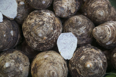 Full frame shot of cassavas at market stall