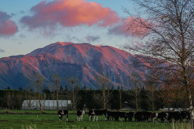 Panoramic view of people on field by mountain against sky