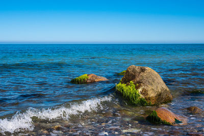 Scenic view of sea against clear blue sky