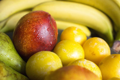 Exotic fruits variety still life on ceramic plate