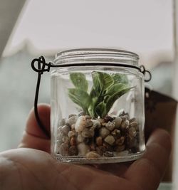 Close-up of hand holding glass jar