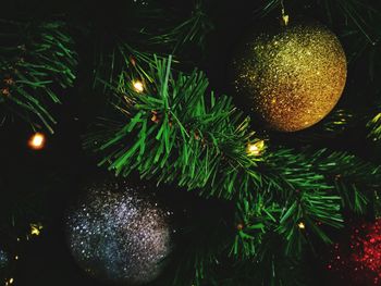 Close-up of christmas tree at night