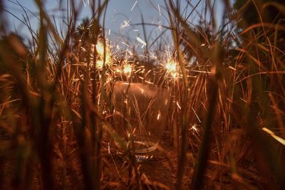 Close-up of illuminated light on field against sky