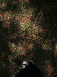 Low section of person standing by autumn leaf