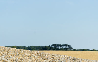 Agricultural field against clear sky