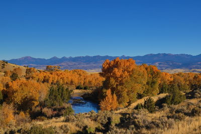 The ruby river running though trees that have turned to fall foliage colors.