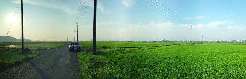 Road passing through grassy field