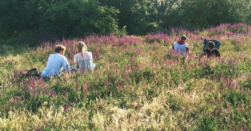 Plants growing on grassy field