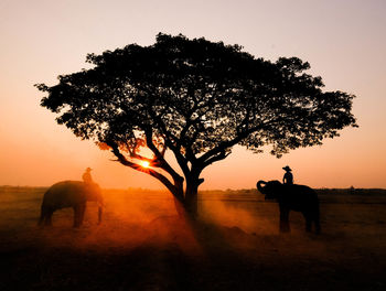 Silhouette people riding horse on field against sky during sunset