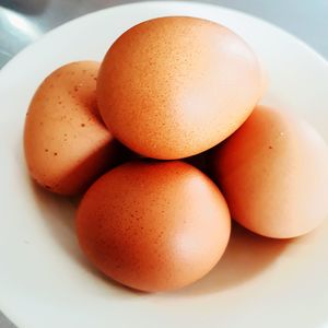 High angle view of eggs in bowl